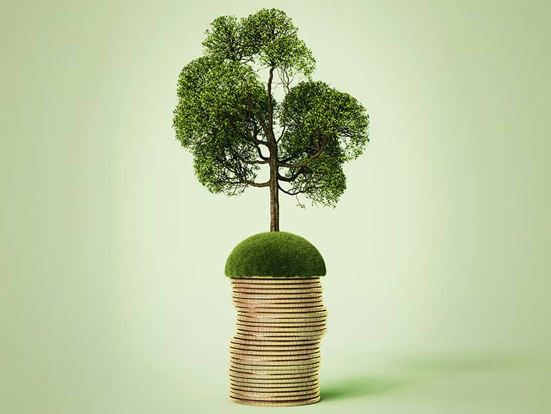 photo illustration with tree growing out of mound of grass on top of a pile of oversized coins