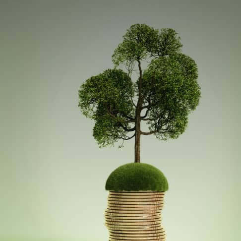 photo illustration with tree growing out of mound of grass on top of a pile of oversized coins